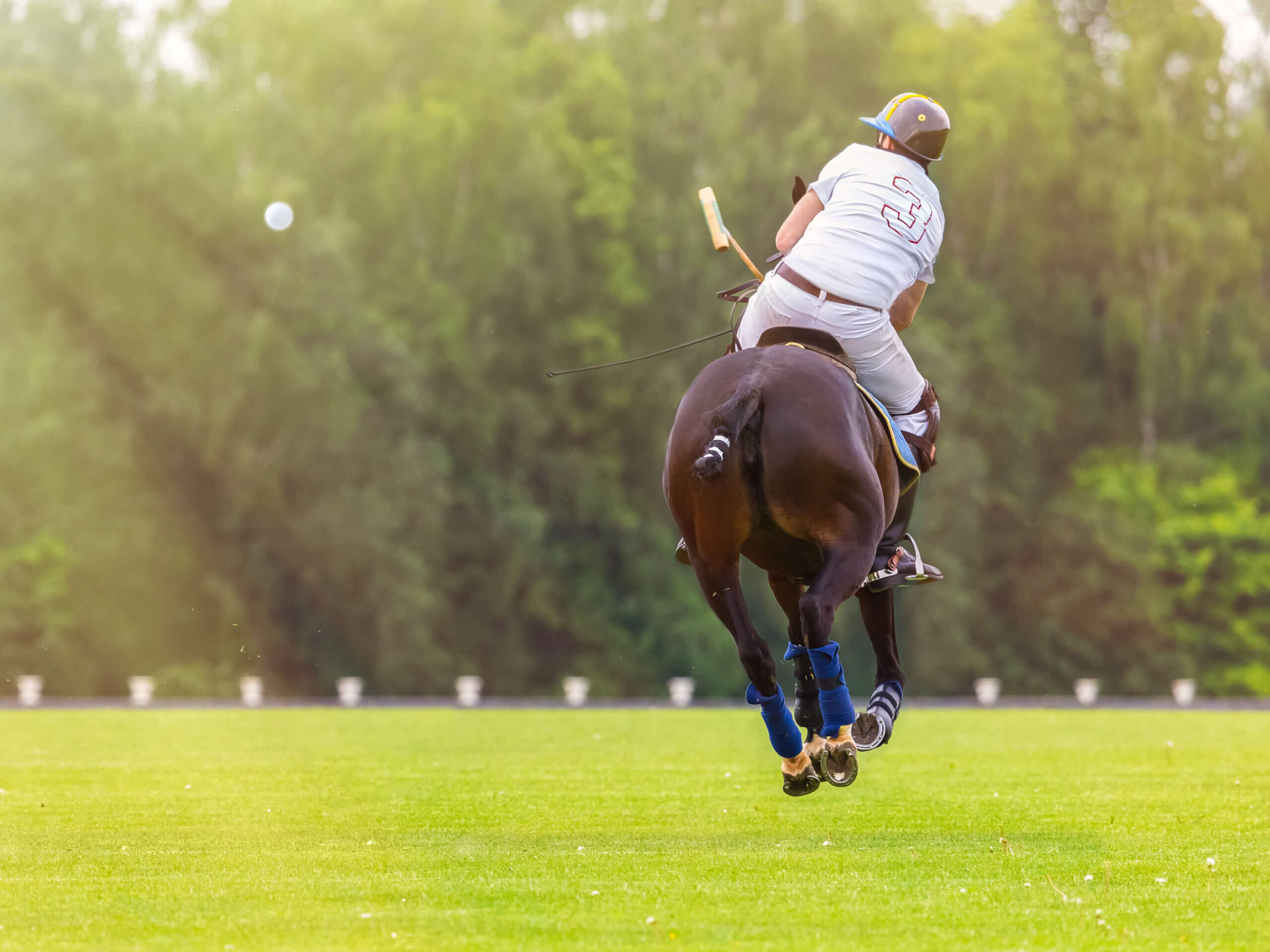 Polo shirt with hotsell horse at the bottom