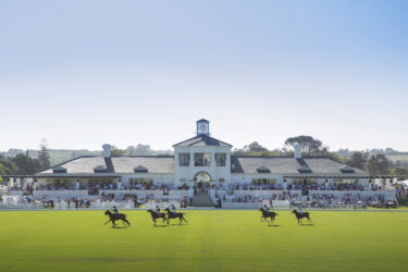 Cape-Winelands lunch and polo – all for a good cause