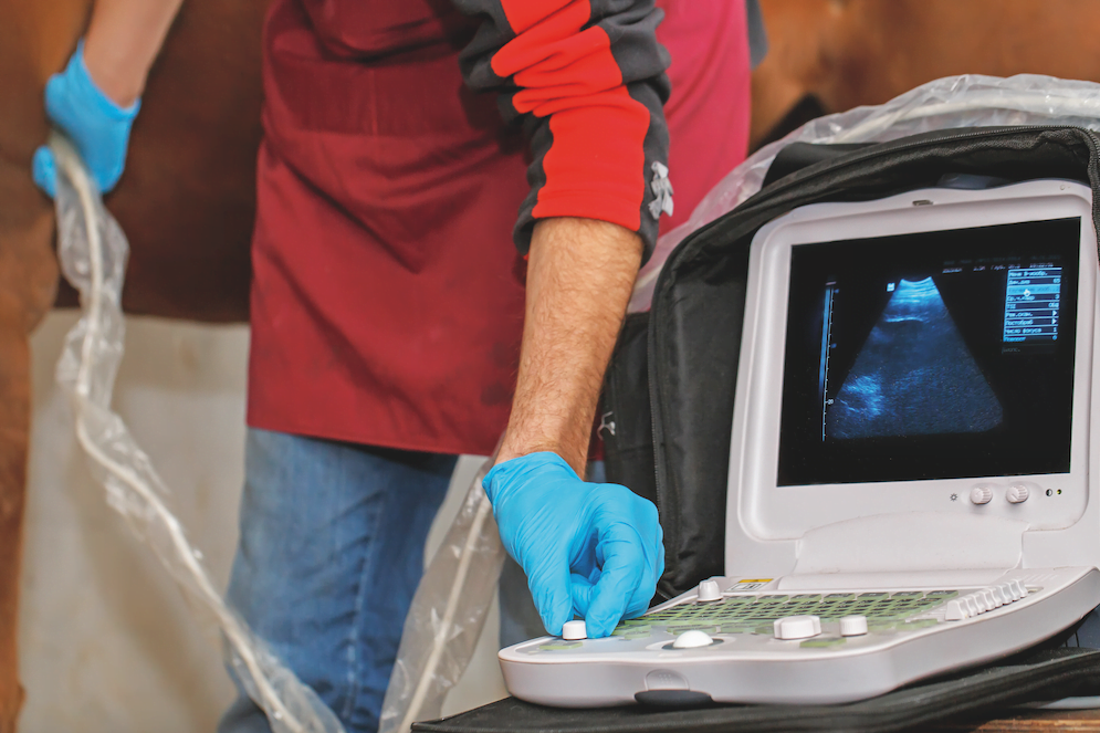 Colic when surgery is needed HQ Magazine