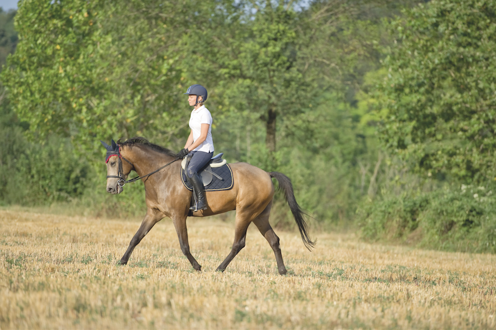 The benefits of working on different surfaces HQ Magazine