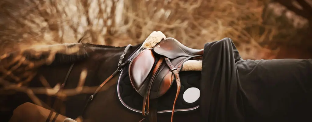 The causes of saddle slip – HQ Magazine