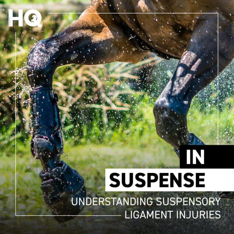 Understanding Suspensory Ligament Injuries – HQ Magazine