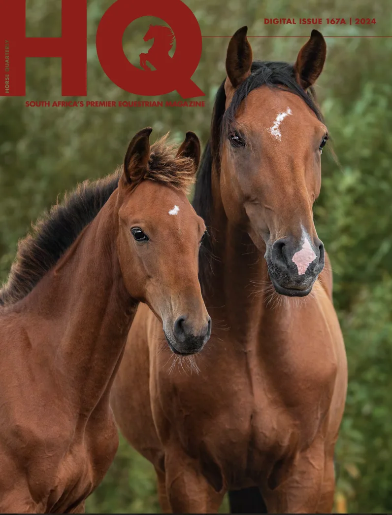 HQ Magazine Issue 167a